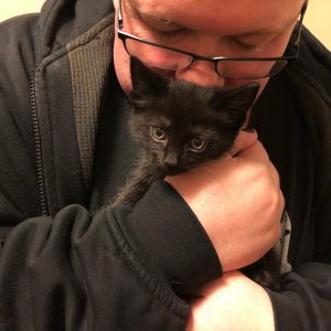 Jeremy Zimmerman and a Kitten