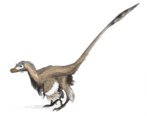 Artist's rendering of a velociraptor