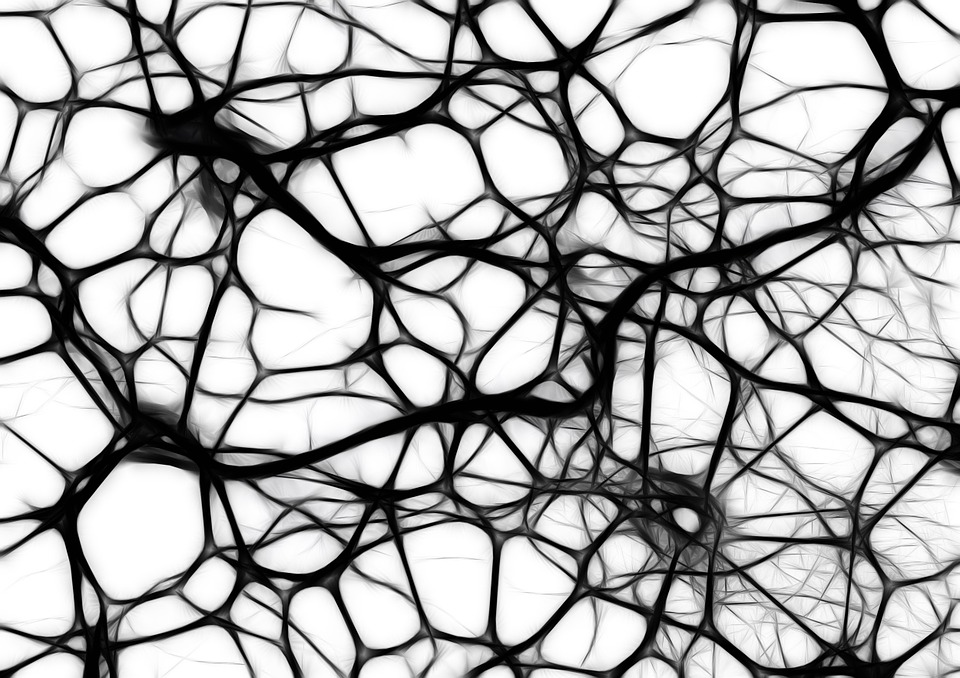 Neurons rendered in black and white