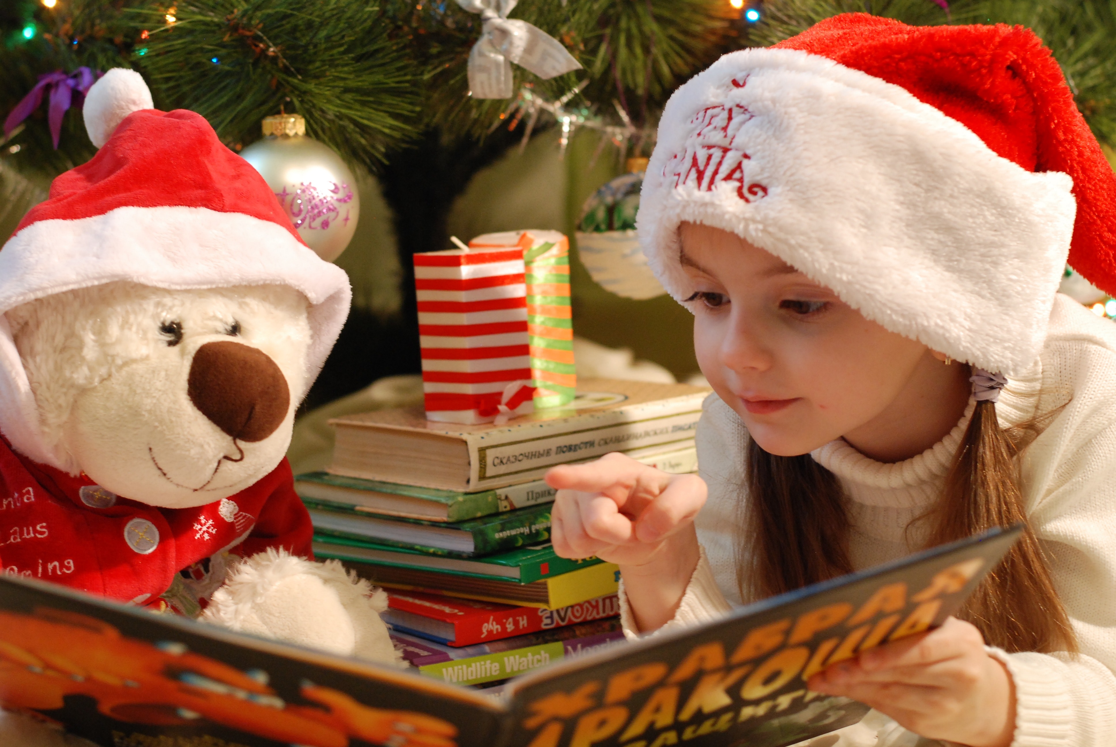 Little girl reading to her stuffed bear