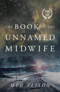 Cover art for The Book of the Unnamed Midwife