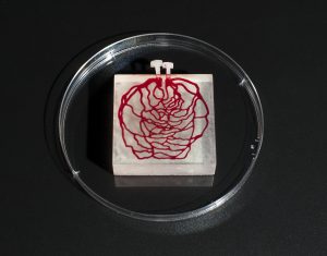 3D printed tissue simulation