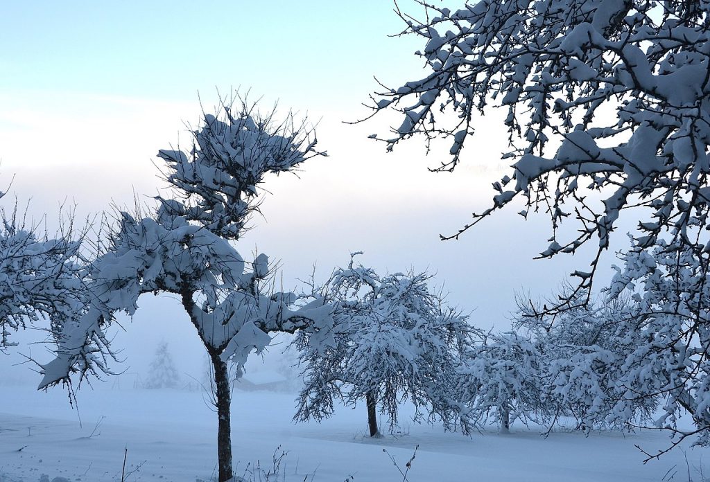 how-does-it-snow-when-it-s-above-freezing-mad-scientist-journal